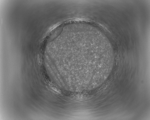 X0000051891207200507222007