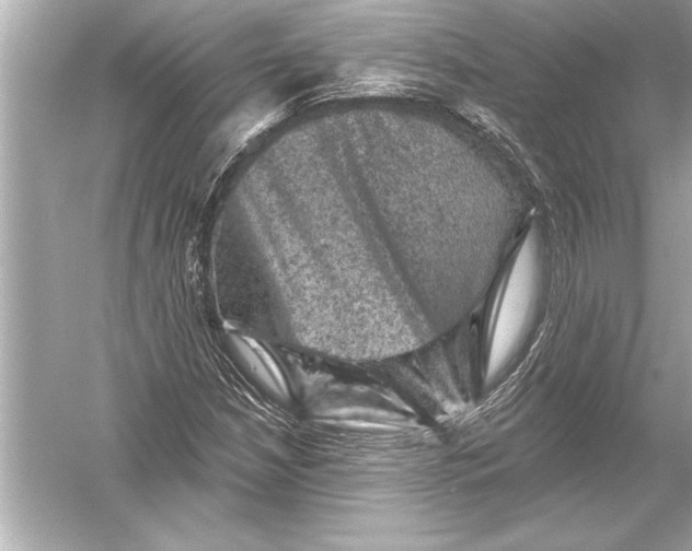 X0000051891210200507222007