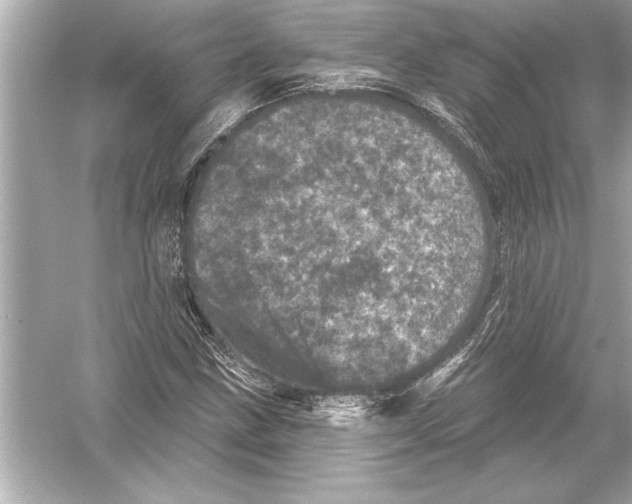 X0000051891211200507222007