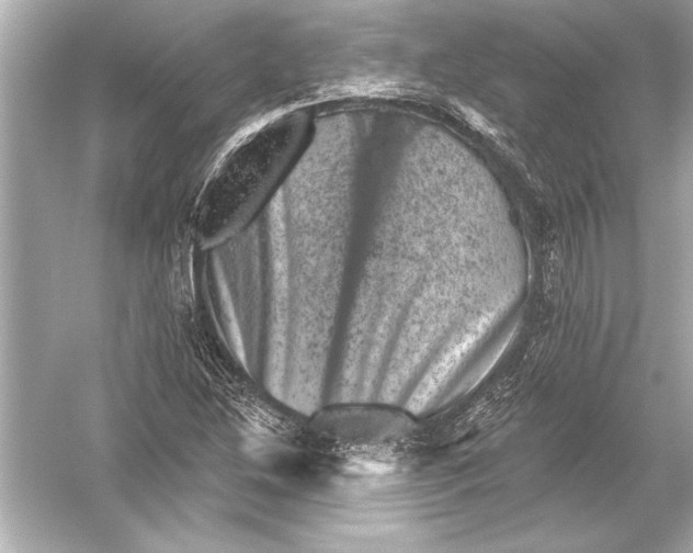 X0000051891214200507222007