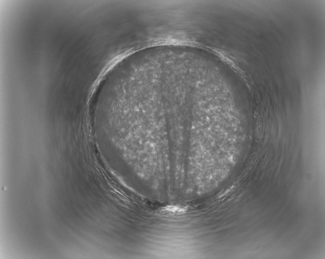 X0000051891215200507222007