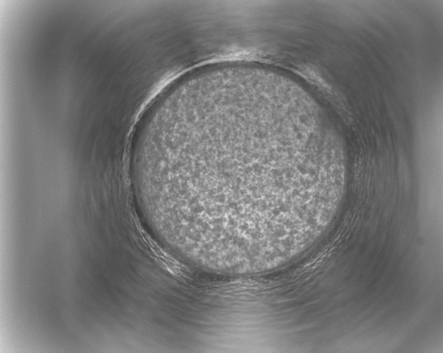 X0000051891216200507222007