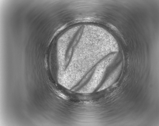 X0000051891218200507222007