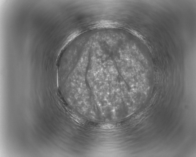 X0000051891219200507222007