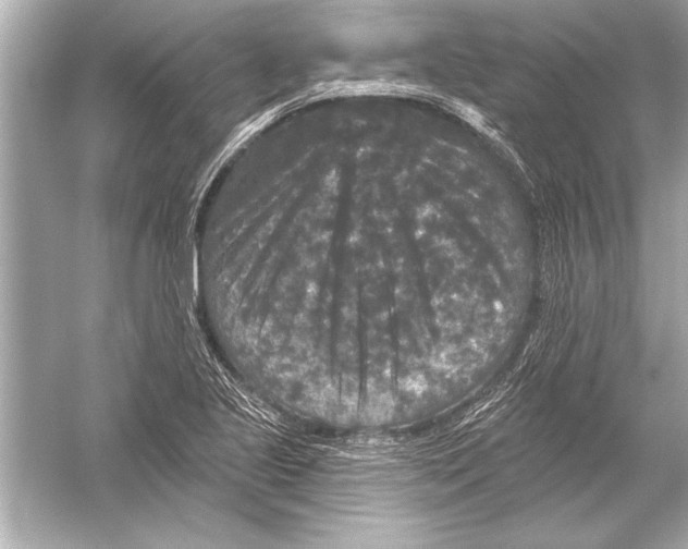 X0000051891221200507222007