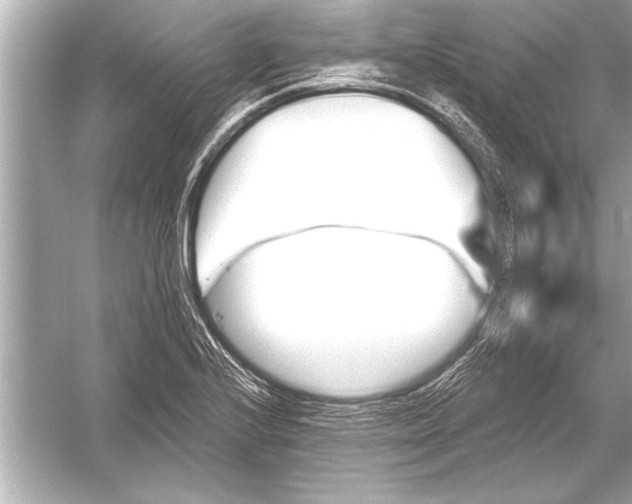 X0000051891224200507222007