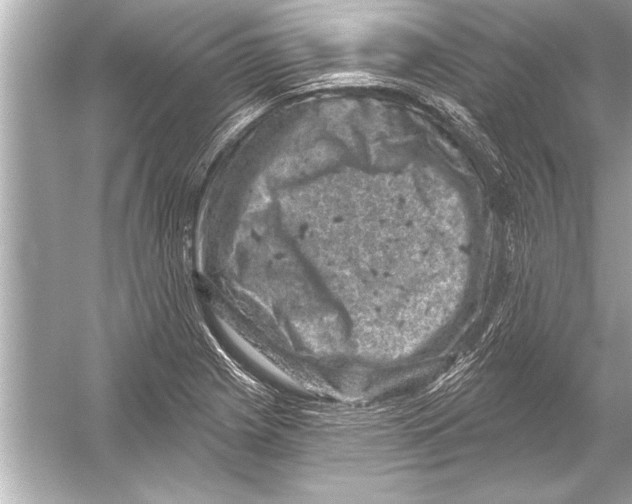 X0000051891225200507222007