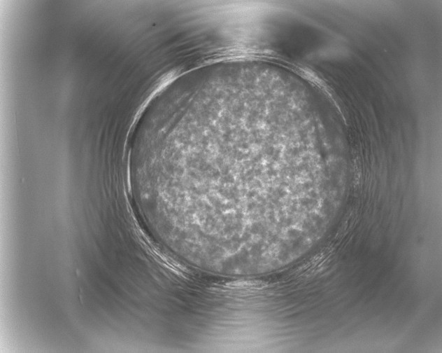 X0000051891227200507222007