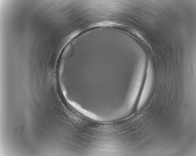 X0000051891229200507222007