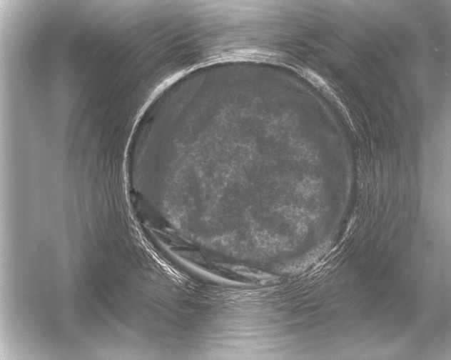 X0000051891230200507222007