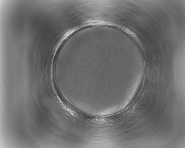 X0000051891231200507222007