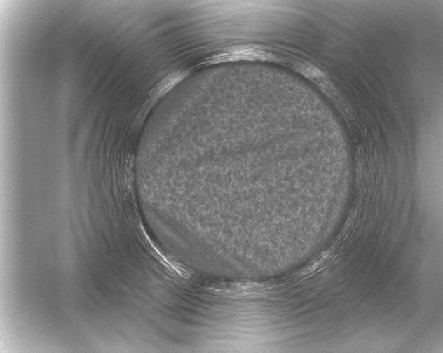 X0000051891233200507222007