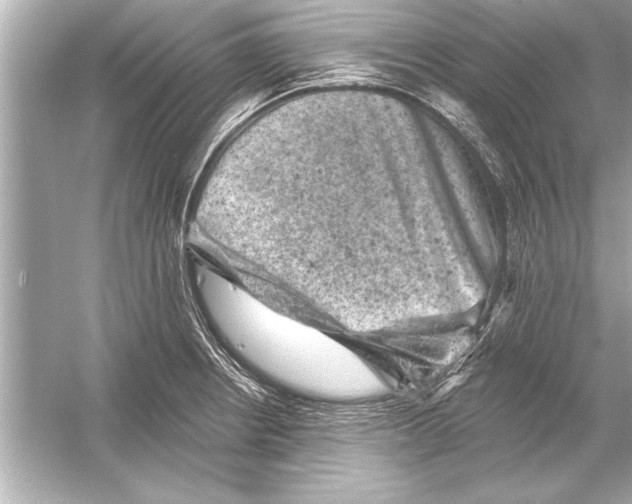 X0000051891234200507222007