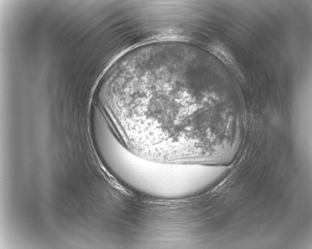 X0000051891236200507222007