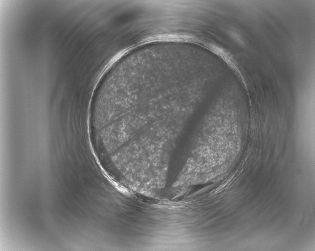 X0000051891237200507222007