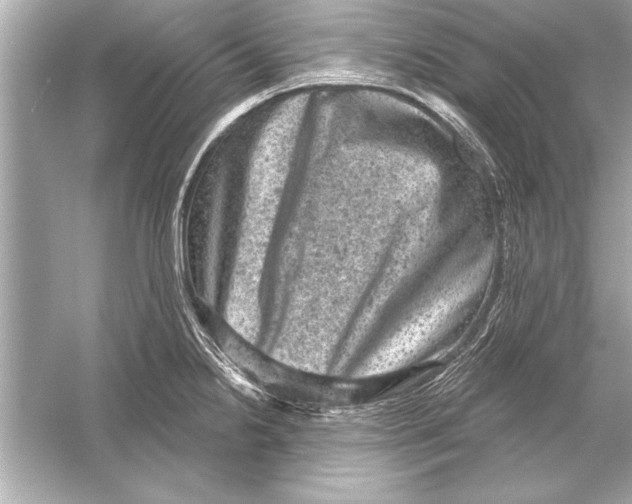 X0000051891238200507222007