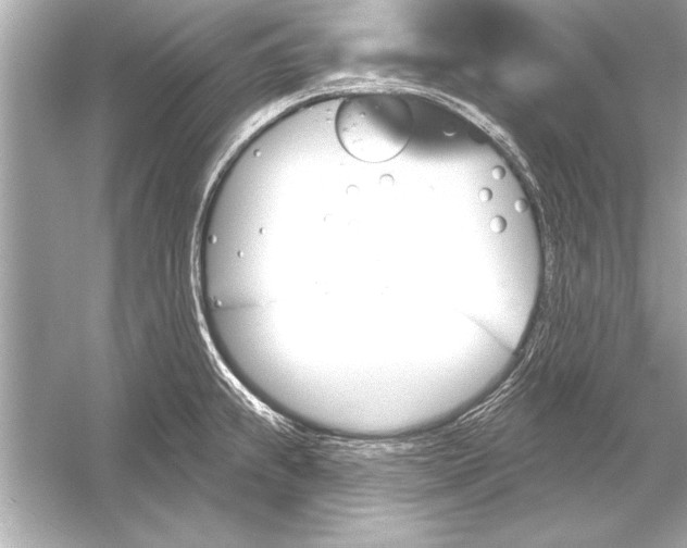 X0000051891239200507222007