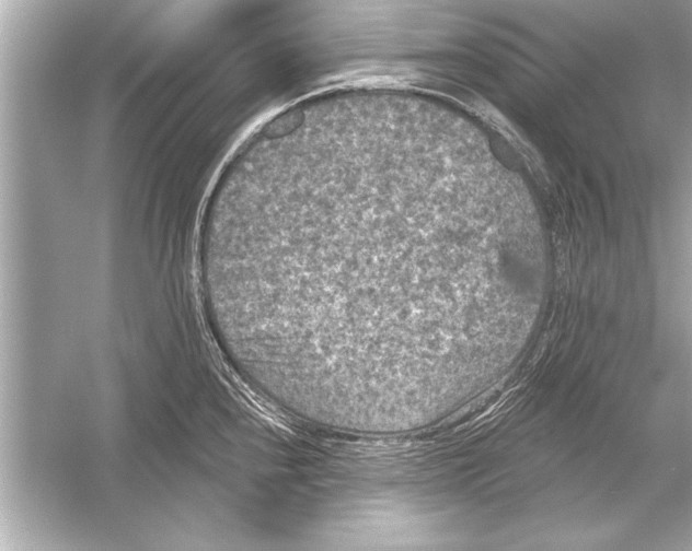 X0000051891240200507222007