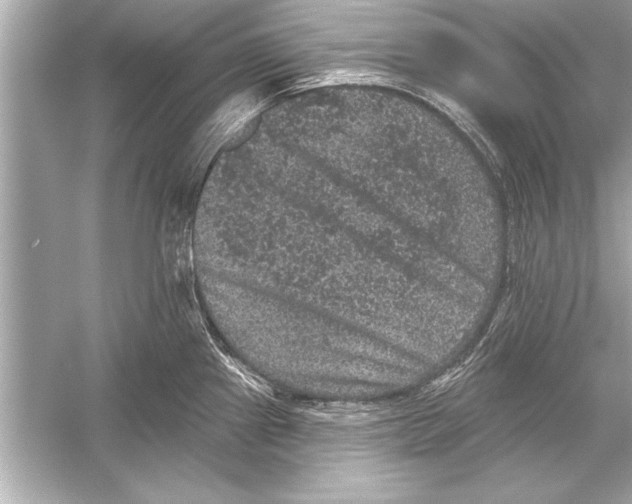 X0000051891241200507222007