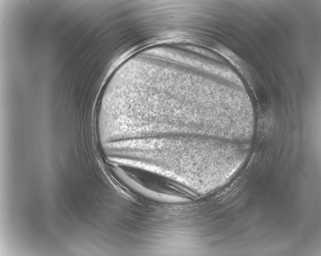 X0000051891242200507222007