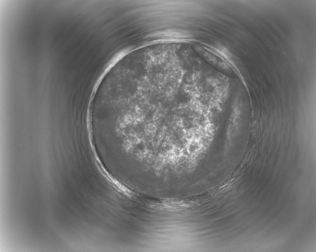 X0000051891243200507222007