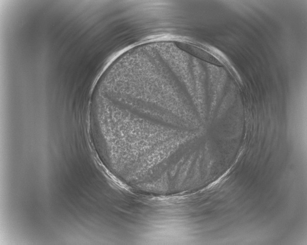 X0000051891244200507222007