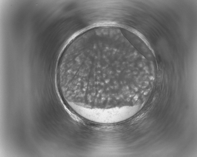 X0000051891245200507222007