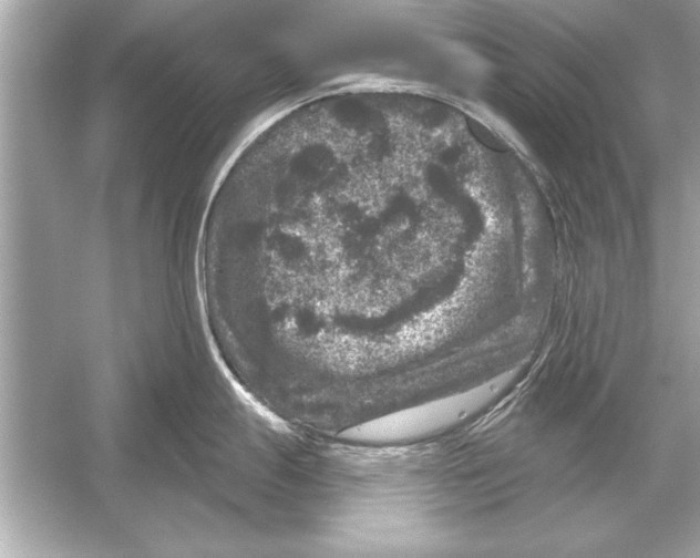 X0000051891247200507222007