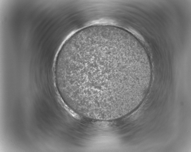 X0000051891248200507222007