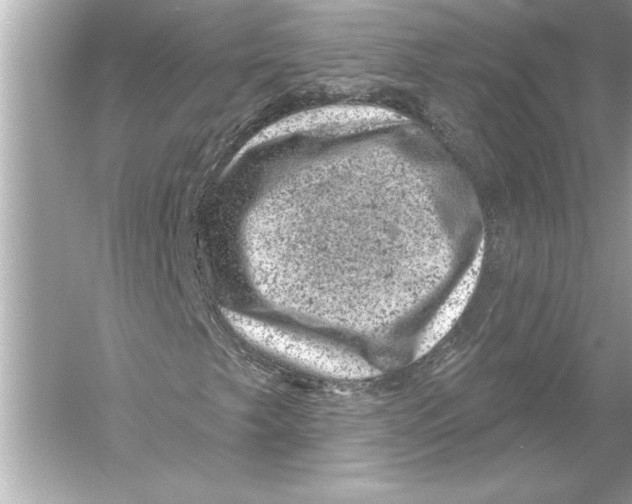 X0000051891249200507222007