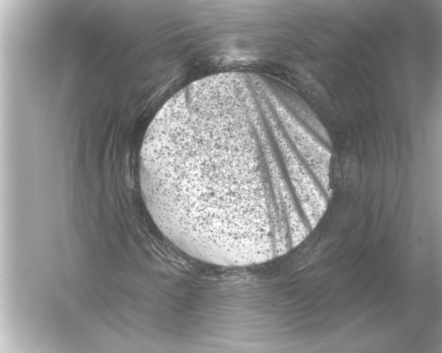 X0000051891250200507222007