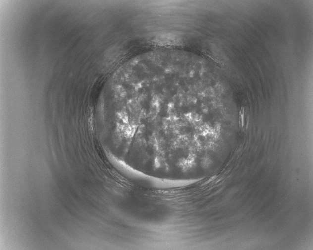 X0000051891251200507222006