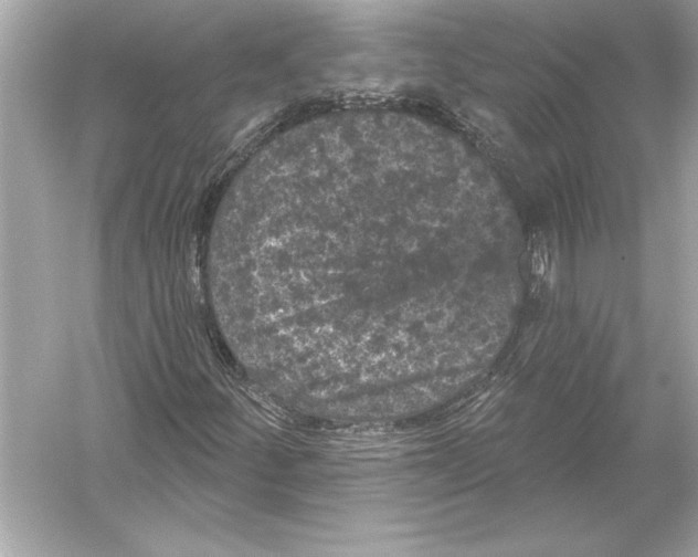 X0000051891252200507222006