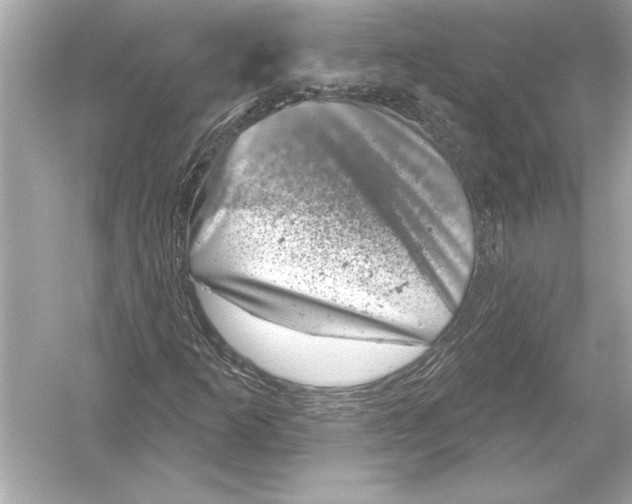 X0000051891253200507222006