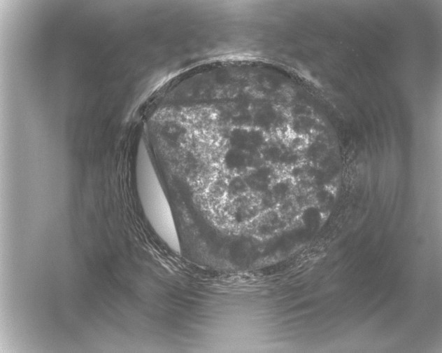 X0000051891255200507222006