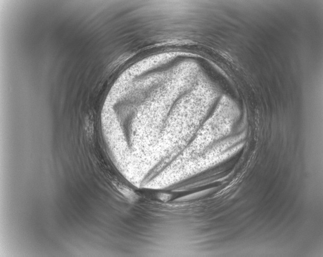 X0000051891257200507222006