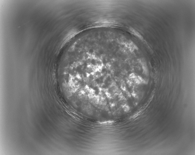 X0000051891259200507222006