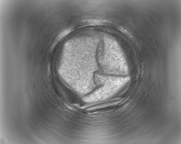 X0000051891261200507222006