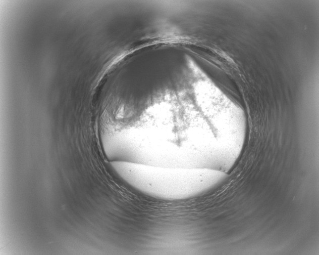 X0000051891263200507222006