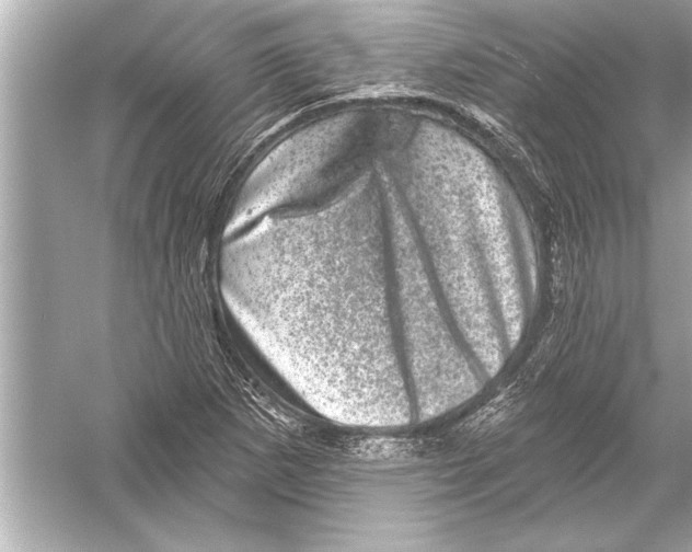 X0000051891265200507222006