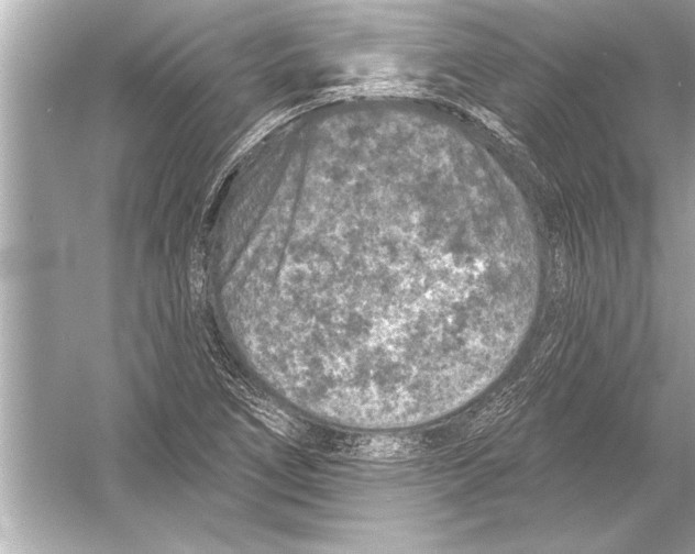 X0000051891266200507222006