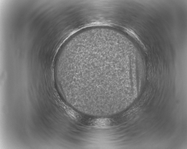 X0000051891268200507222006