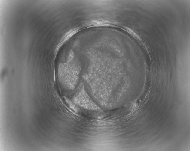 X0000051891269200507222006