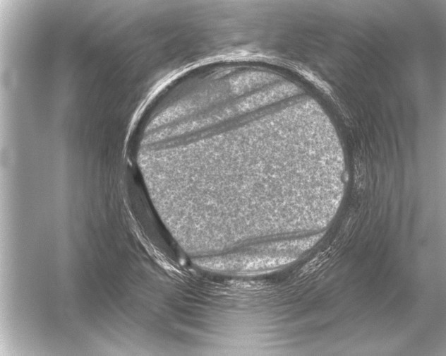 X0000051891270200507222006