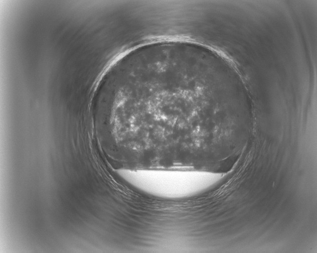 X0000051891271200507222006