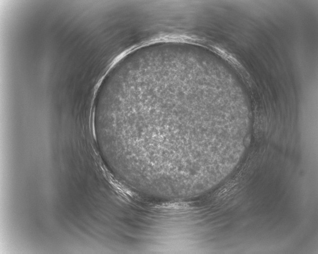 X0000051891272200507222006