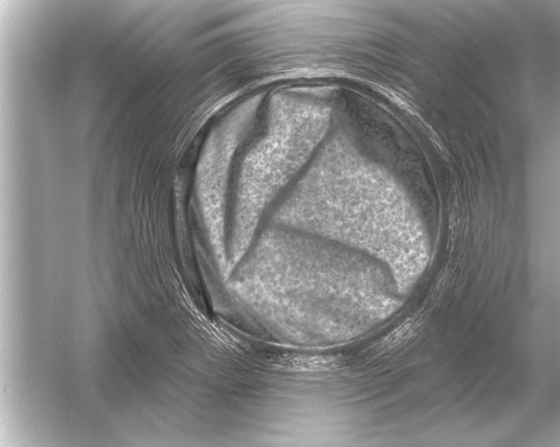 X0000051891273200507222006