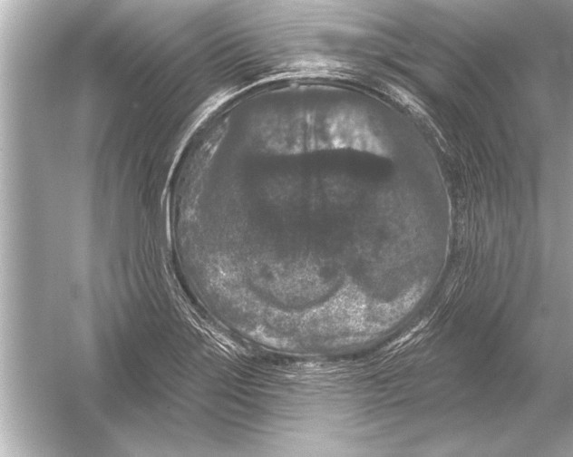 X0000051891275200507222006