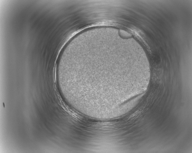 X0000051891276200507222006