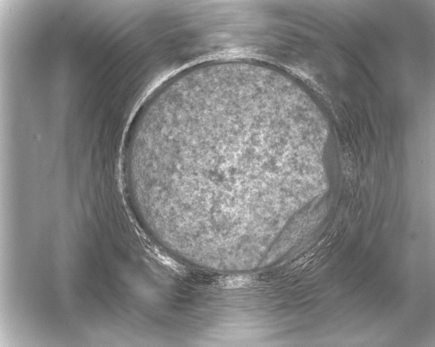 X0000051891278200507222006